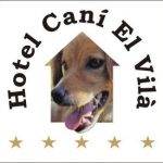 Millor hotel cani per gossos